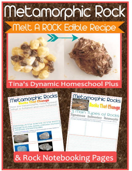 FREE Edible Rocks Notebooking Pages