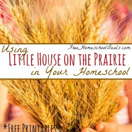 Using Little House on the Prairie in Your Homeschool