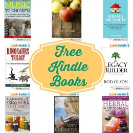 Daily Free Kindle Books!