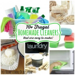 Frugal Homemade Cleaners