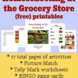 free homeschooling at the grocery store printables