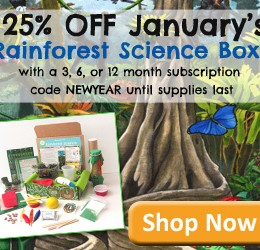 rainforest science kit sale