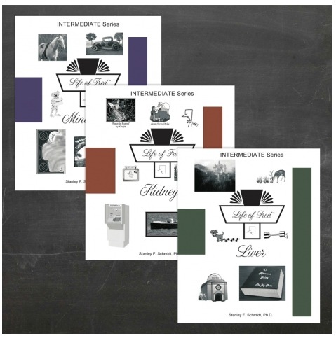 Life of Fred Intermediate Math Set Only $38!