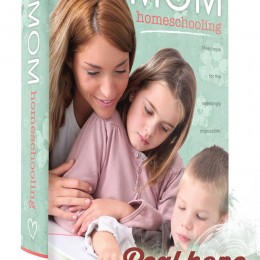 Single Mom Homeschooling eBook deal