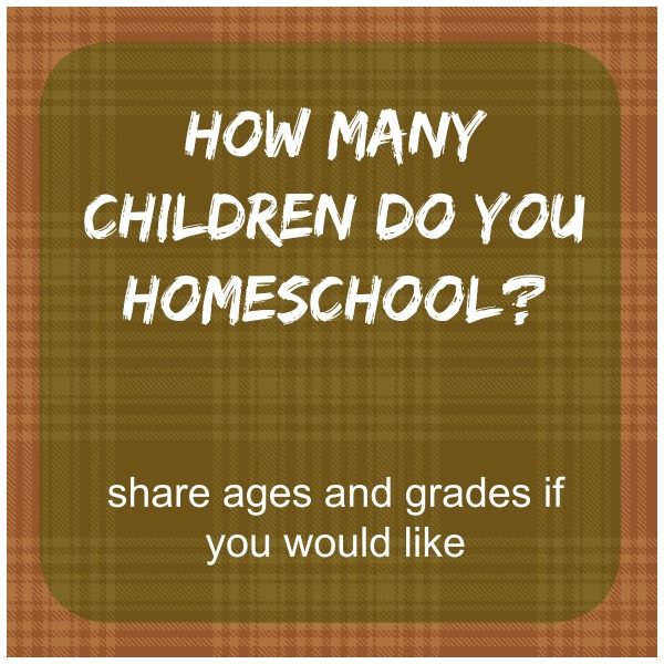 How Many Children Do You Homeschool?