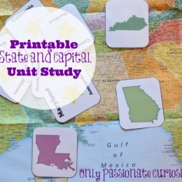 FREE States and Capitals Unit Study