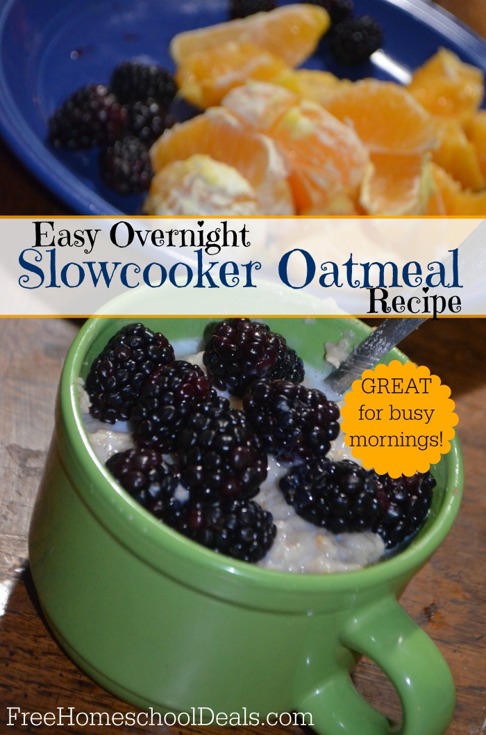 Easy Overnight Slowcooker Oatmeal Recipe