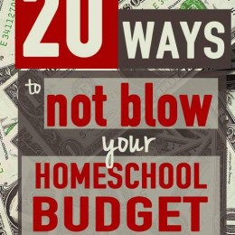 20 Ways to NOT BLOW Your Homeschool Budget