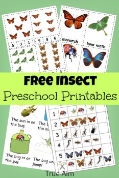 FREE Bug Mini-Pack Preschool Printables
