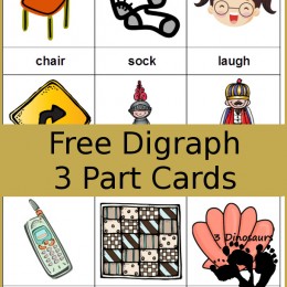 FREE Digraph Cards