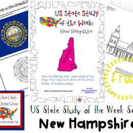 FREE State Study