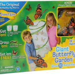 Insect Lore Giant Butterfly Garden Only $18.99! (Reg. $29.99!)