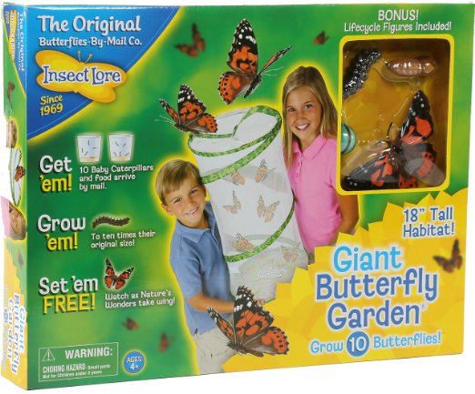 Insect Lore Giant Butterfly Garden Only $18.99! (Reg. $29.99!)