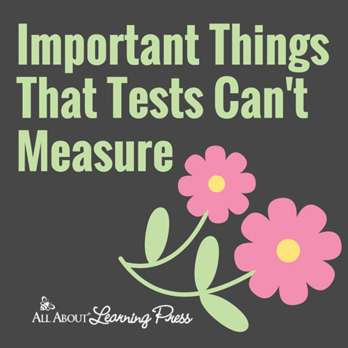 Important Things Tests Can't Measure