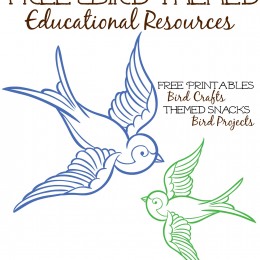 Free Bird Themed Educational Resources