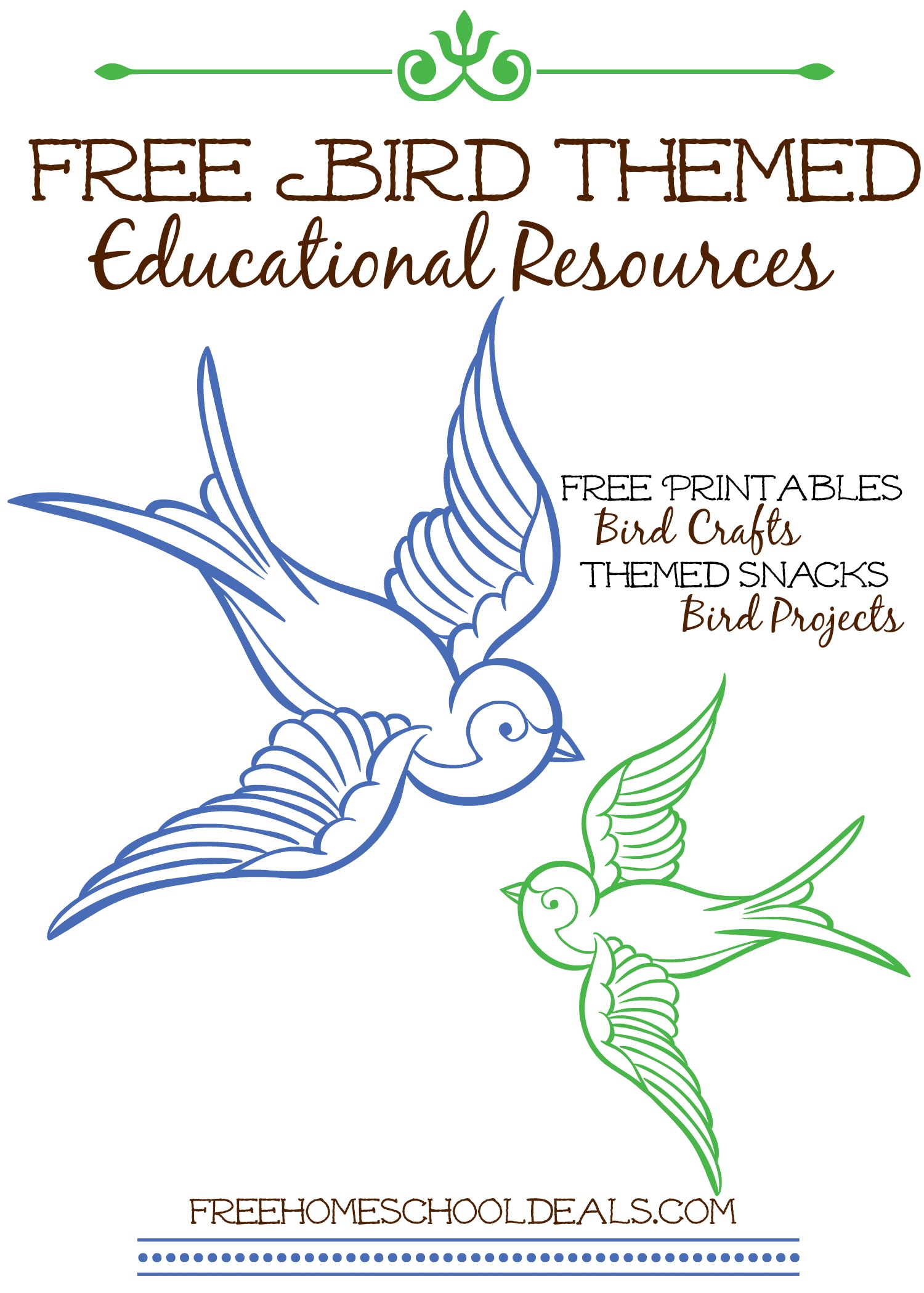 Free Bird Themed Educational Resources