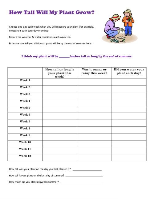 FREE STEM Printables and Activities