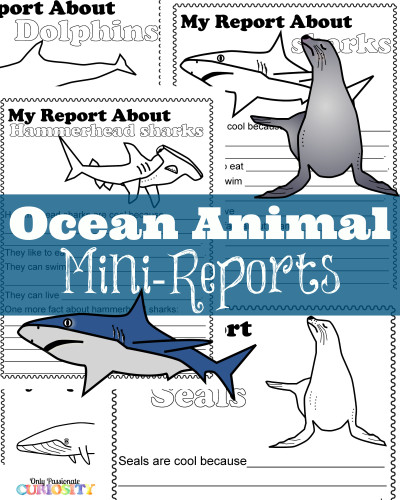 FREE Ocean Animal Reports