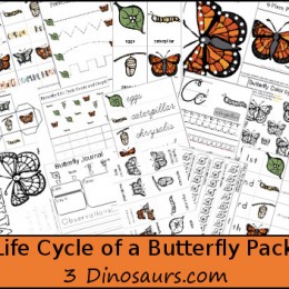 FREE Butterfly Life Cycle pack