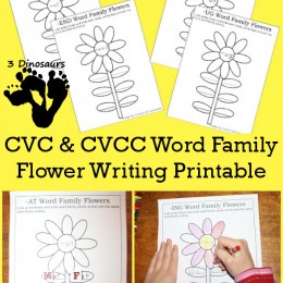 FREE Flower Themed Word Family Printables