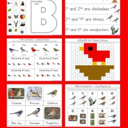 FREE B is for the Birds Literature Unit Study