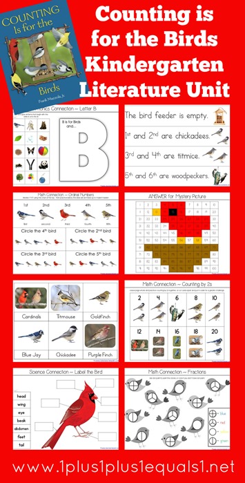 FREE B is for the Birds Literature Unit Study