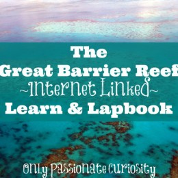 FREE Great Barrier Reef Lapbook