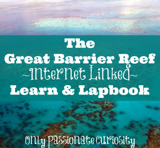 FREE Great Barrier Reef Lapbook