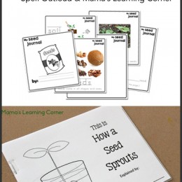 FREE Seed Book and Coloring Pages