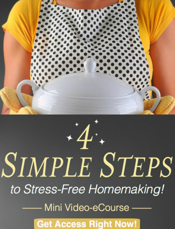 FREE VIDEO ECOURSE! 4 Simple Steps to Stress-Free Homemaking!