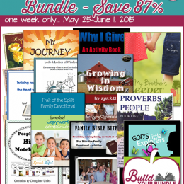Character Building Bundle Only $19! (87% Off!)