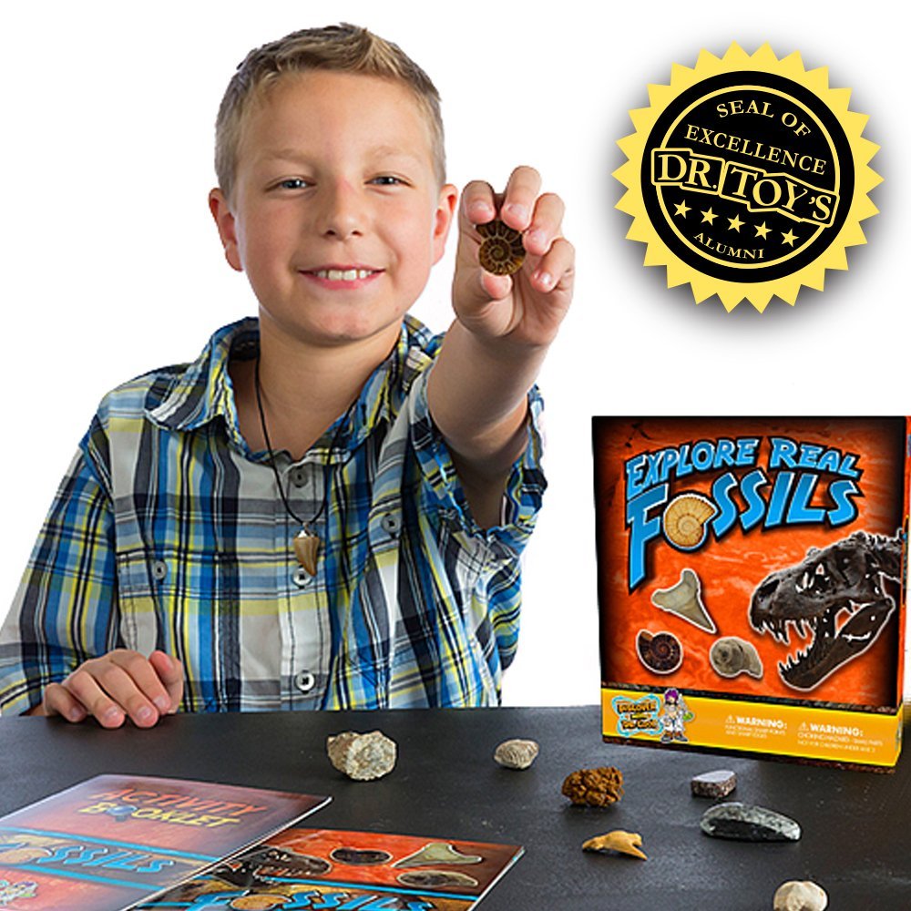 Fossil Science Starter Kit Only $12.12! (Reg. $20!)