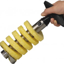 Stainless Steel Pineapple Corer/Slicer Only $3.99 + Free Shipping!