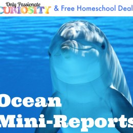 FREE OCEAN MINI-REPORT PACK (instant download)