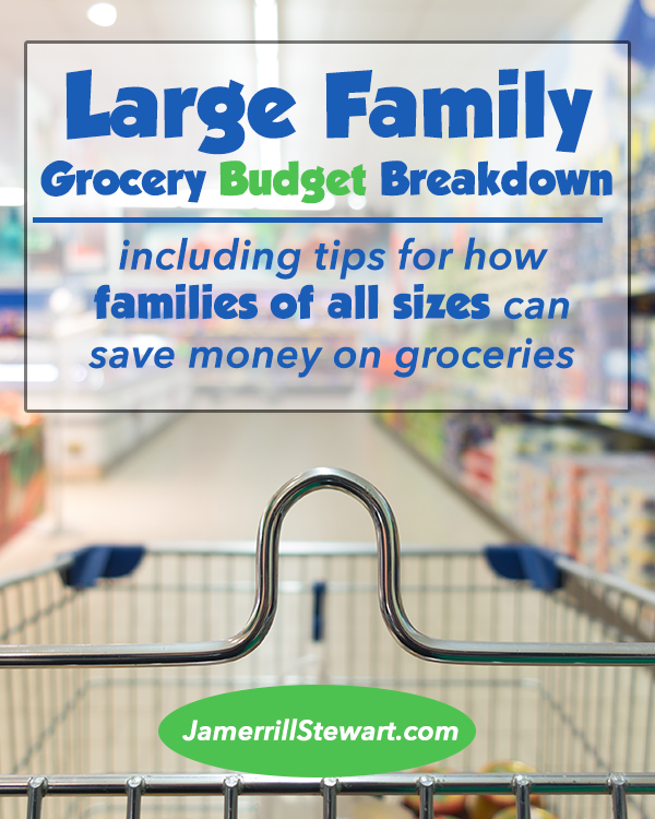Large Family Grocery Budget