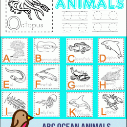 FREE ABC Printables