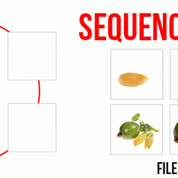 FREE Sequencing Chart