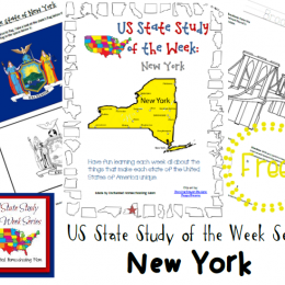 FREE New York State Study