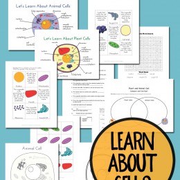 FREE Cell Printables