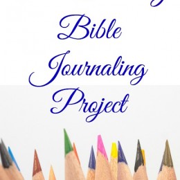 FREE Family Bible Project