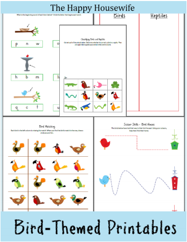 FREE Bird Themed Worksheets