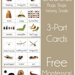 FREE Crawly Creatures Clip Cards