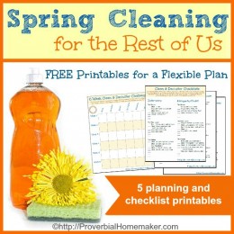 FREE Spring Cleaning Printables