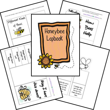 FREE Honey Bee lapbook