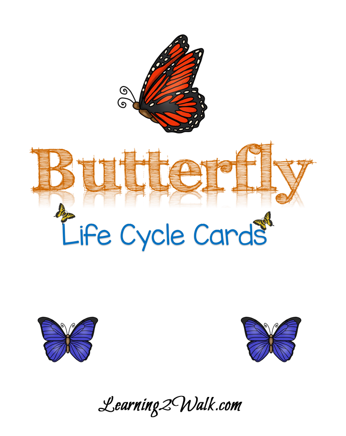 FREE Butterfly Life Cycle Card