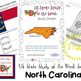 FREE State Study