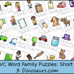 FREE CVC Word Family Puzzles