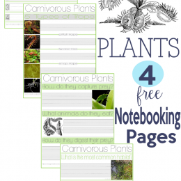 FREE Plants Notebooking Pages