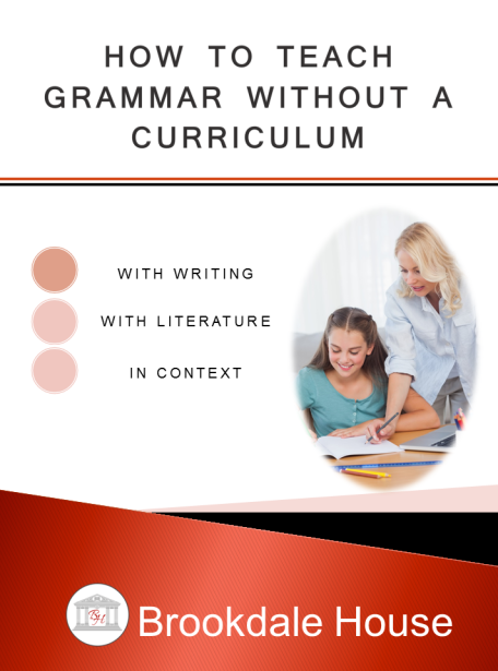 FREE Teach Grammar Without Curriculum