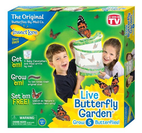 Insect Lore Live Butterfly Garden Only $12.16! (Reg. $20!)